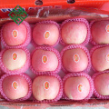 яблоки, произведенные в горячие продаж Шаньдун свежий Фудзи яблоко